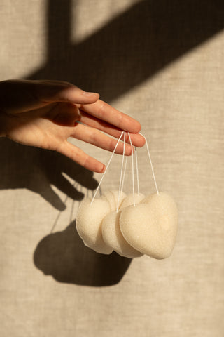 Konjac Sponge