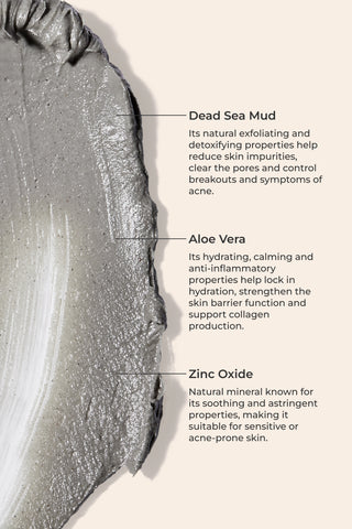 Purifying Mineral Mud Mask